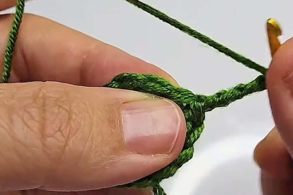 Chain 4 and two treble crochet forming the first point of the green leaf