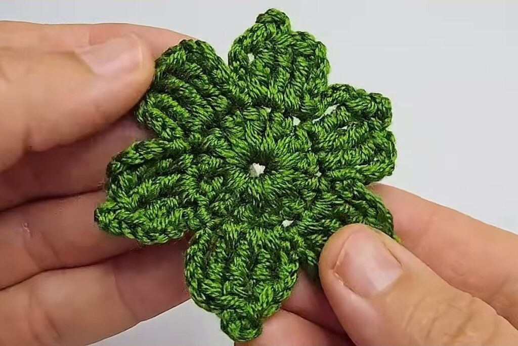 Finished six-point green leaf for the crochet rose pattern
