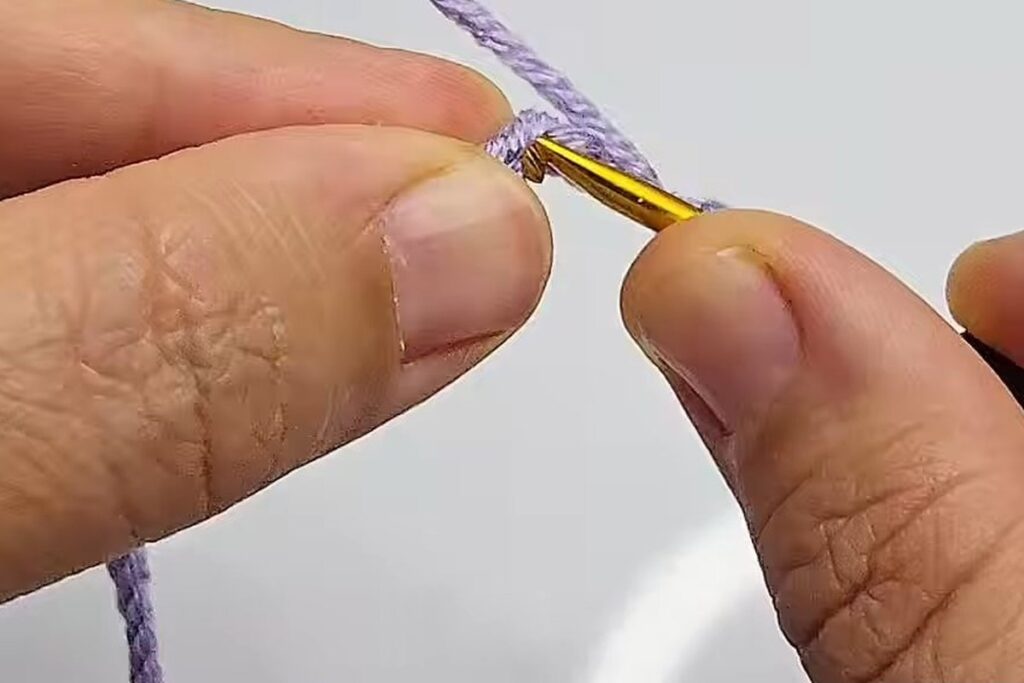 First double crochet worked into the fifth chain of a crochet rose pattern base