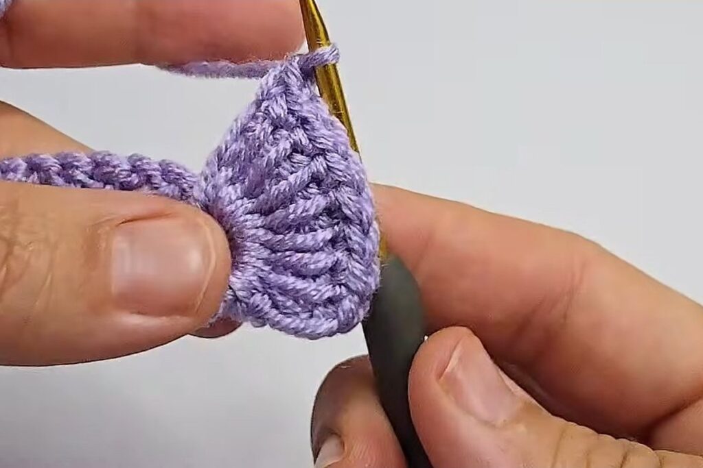 The first finished fan petal on the lavender crochet rose strip