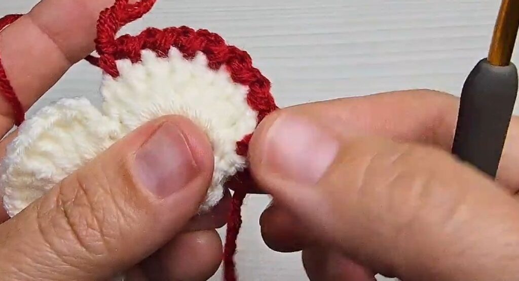 One white petal fully edged in red on a crochet rose with stem