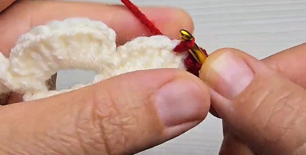 Chain 1 and slip stitch red edging on a white petal