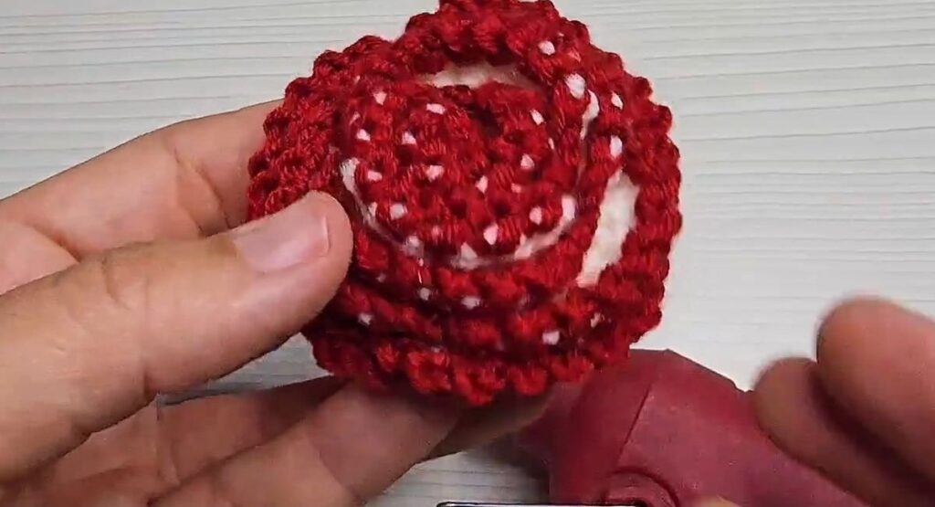 Top view of the rolled two tone rose with red edges