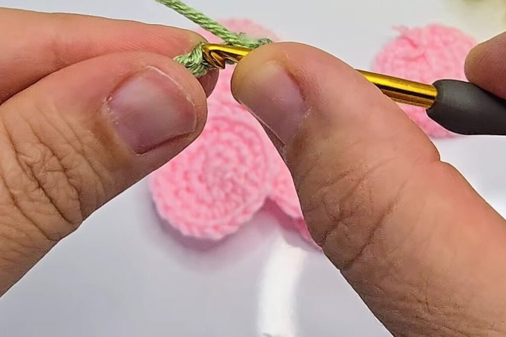 Half double crochet worked back along the green chain