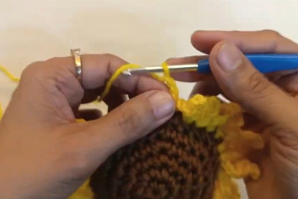 Closing the last petals of the crochet sunflower pattern