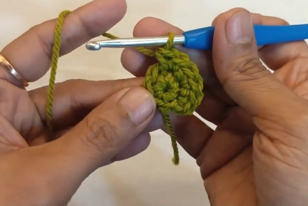 Round 2 of the crochet sunflower, twelve single crochet