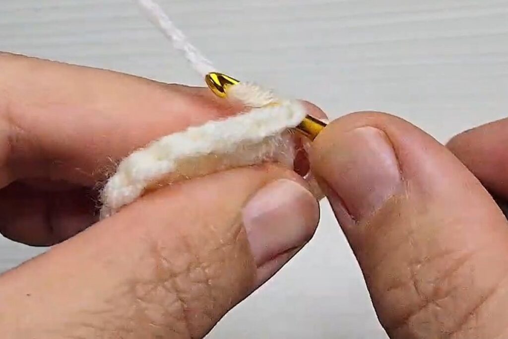 Slip stitch into the third stitch to anchor a loop on a layered crochet flower