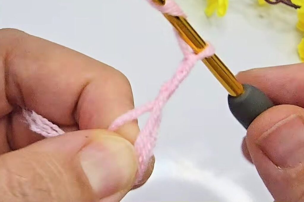 Chain 3 worked from the magic ring for the first round of the blossom