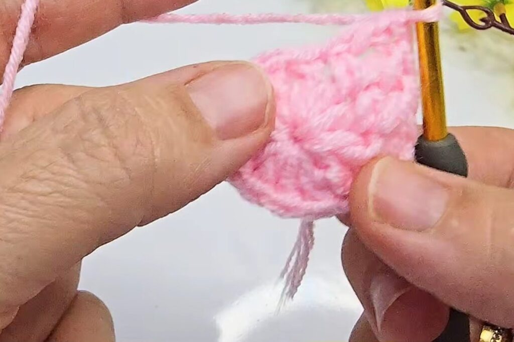 Round 2 double crochet making the pink circle curl up into a cup