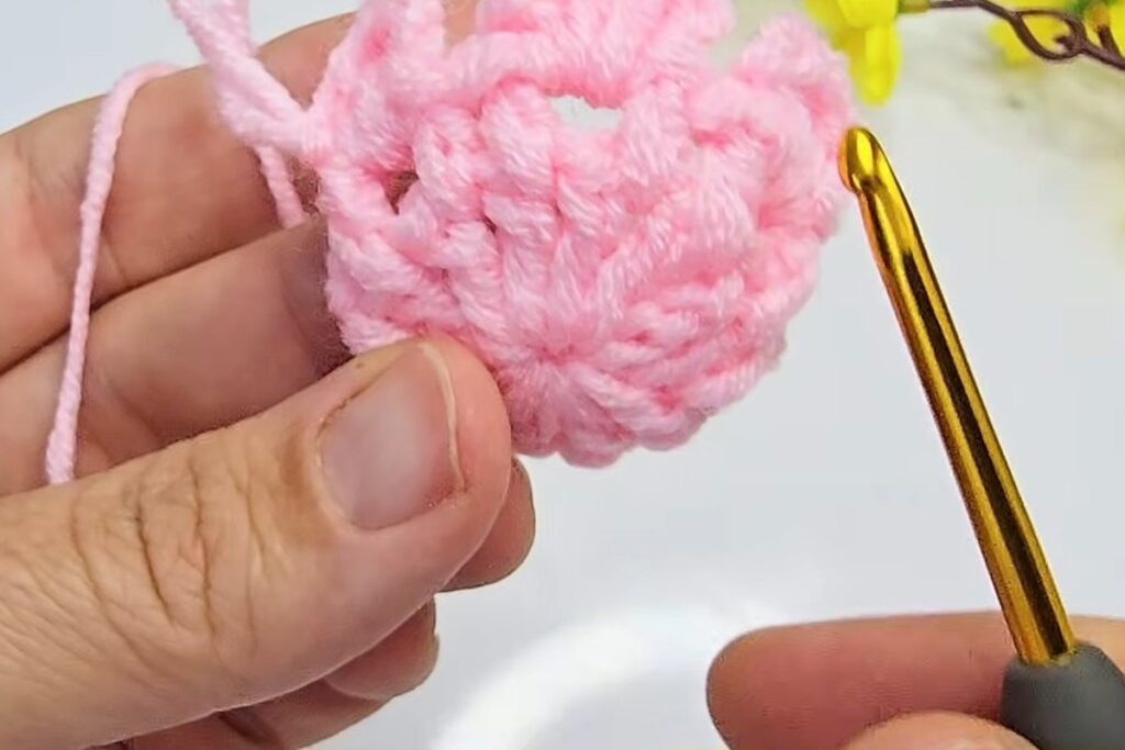 First tier of six pink petals around the rim of the cup