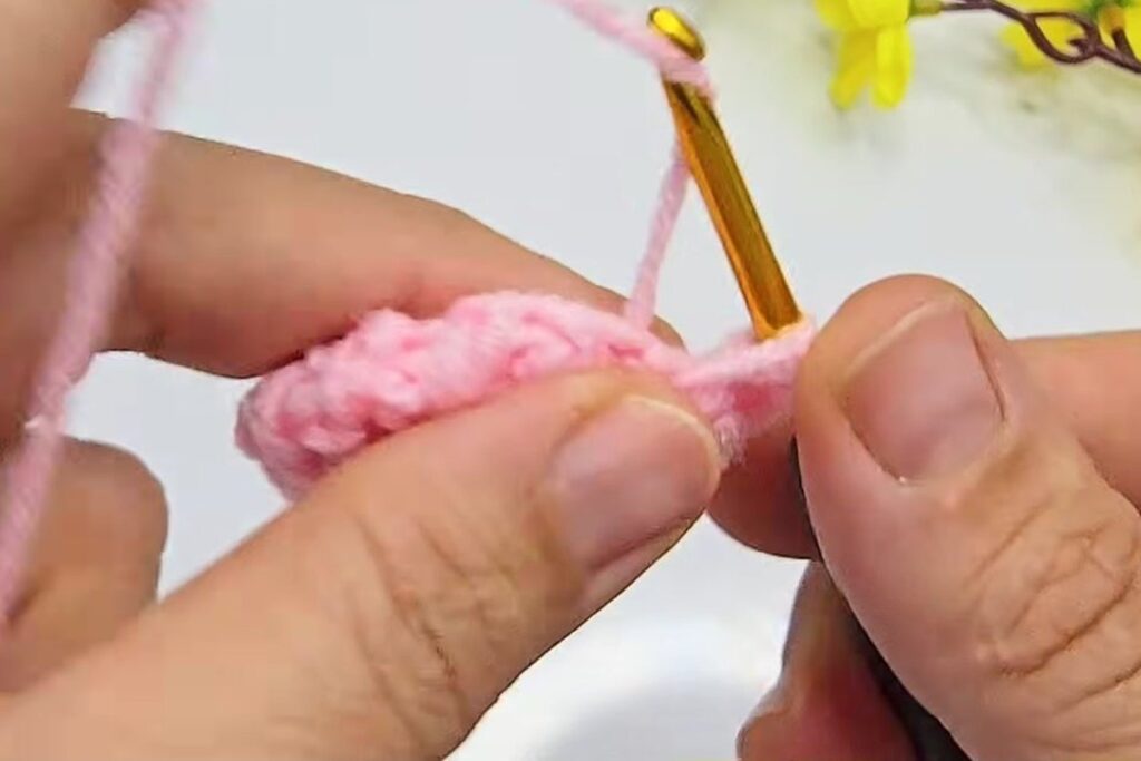 Three double crochet worked into one stitch to form a petal