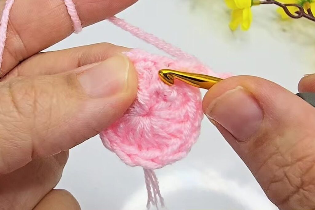 Hook entering the first stitch of round 2 on the flat pink circle