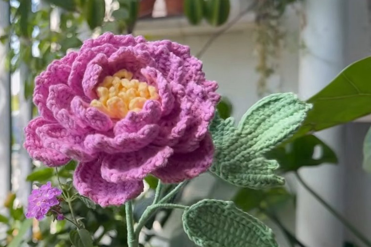 Crochet Peony Flower: Free Pattern for 22 Beautiful Petals